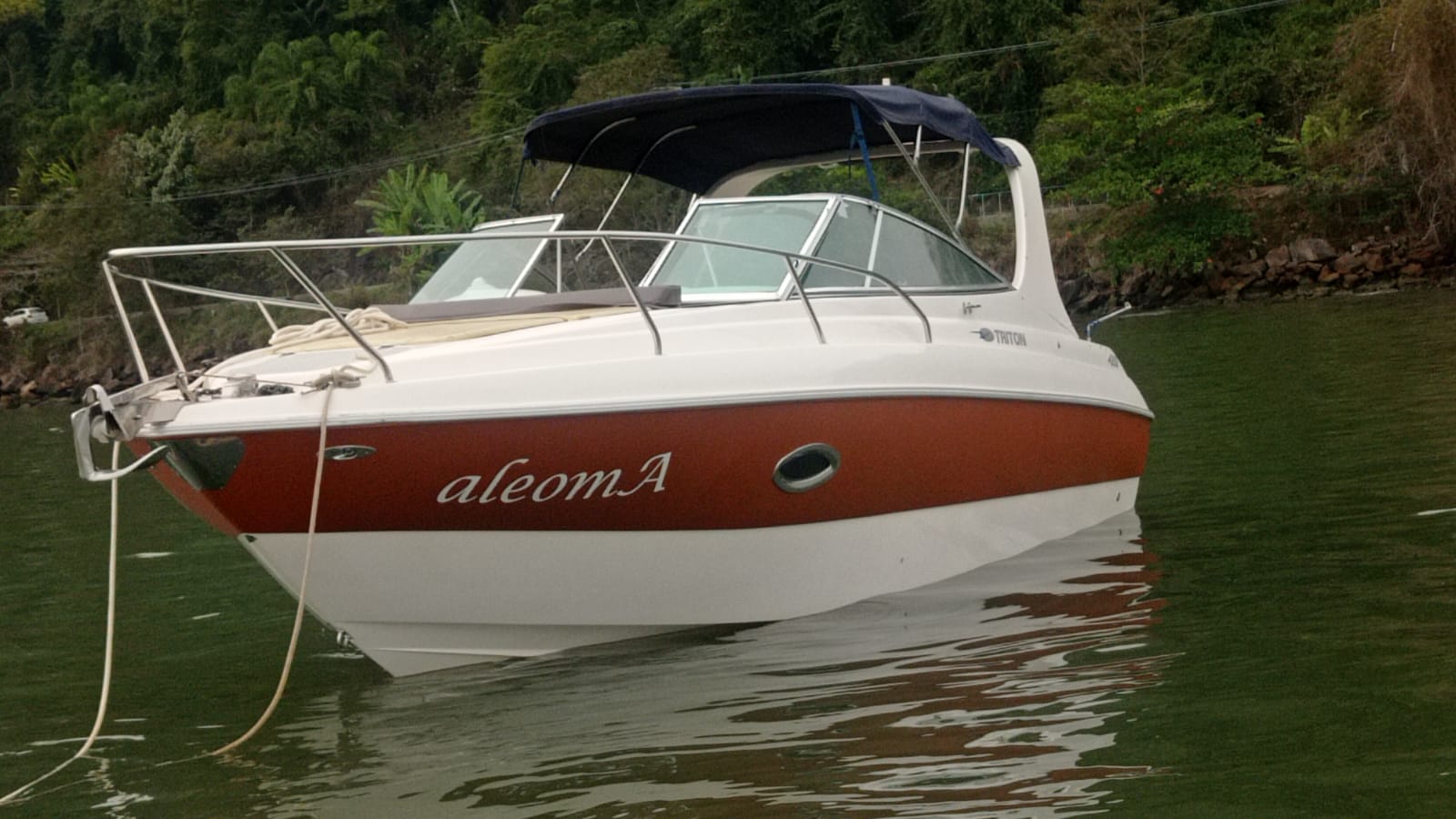 aleomA